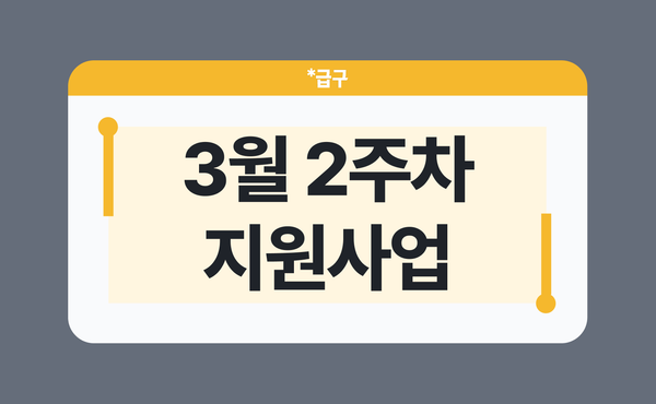 2026년 3월 2주차 지원사업 모아보기