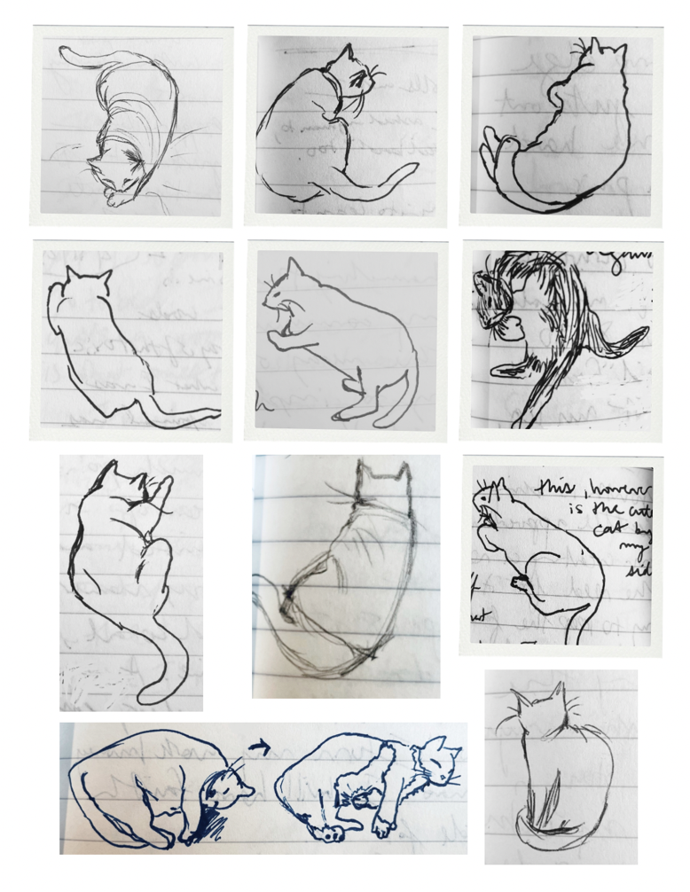 12 drawings of a cat in different poses collaged into a grid.