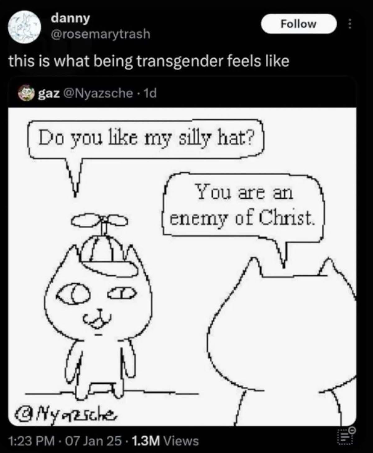 tweet saying this is what being transgender feels like, above a drawing of a cat wearing a cap with propellers saying do you like my silly hat? and a faceless bigoted cat saying you are an enemy of christ