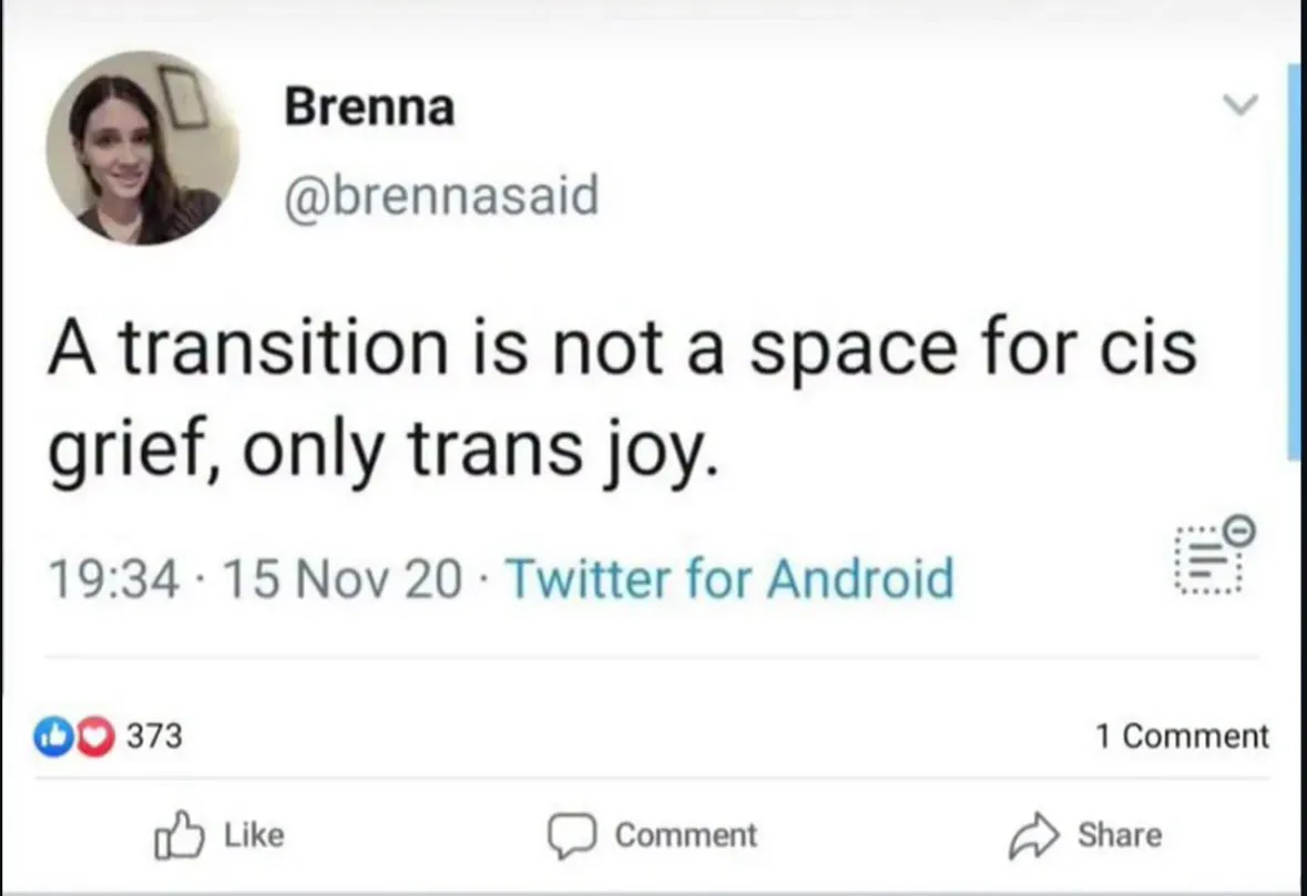 @brennasaid on twitter posted A transition is not a space for cis grief, only trans joy.