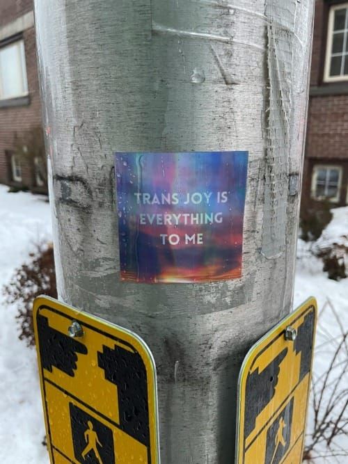 A poster pinned to a traffic post that says Trans Joy is Everything to Me on a sunset background.