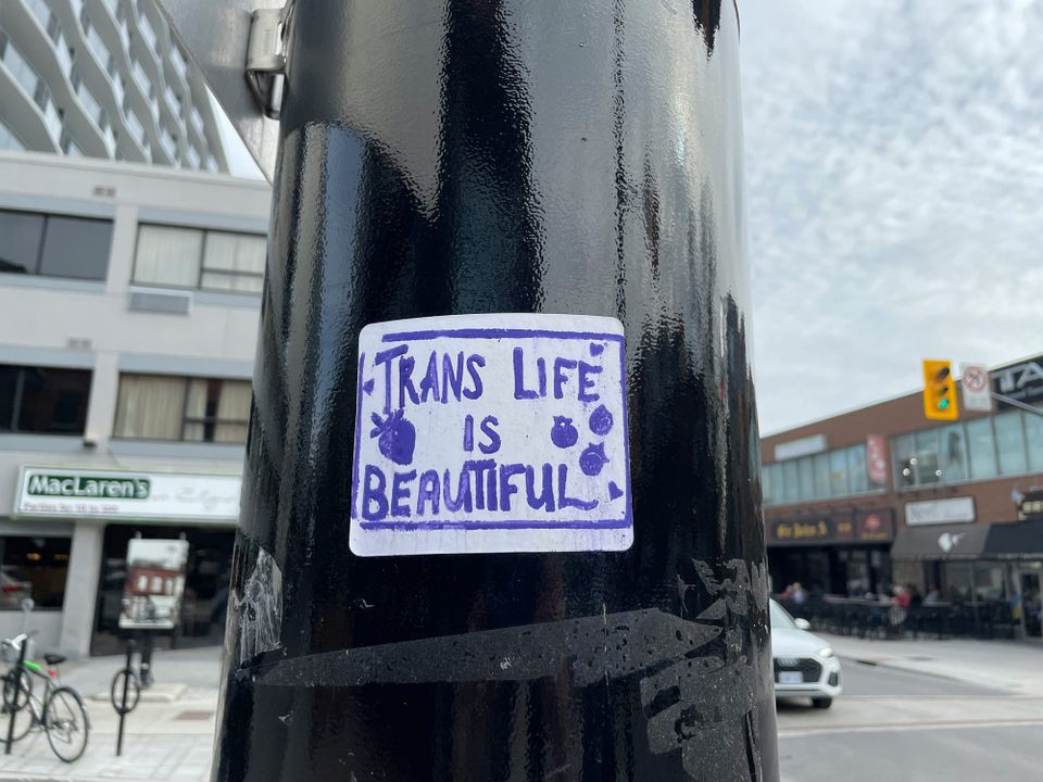 a black and white sticker attached to a telephone pole that says Trans Life is Beautiful