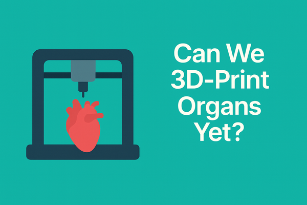 Can We 3D-Print Organs Yet? A Real Look at Biotech Progress