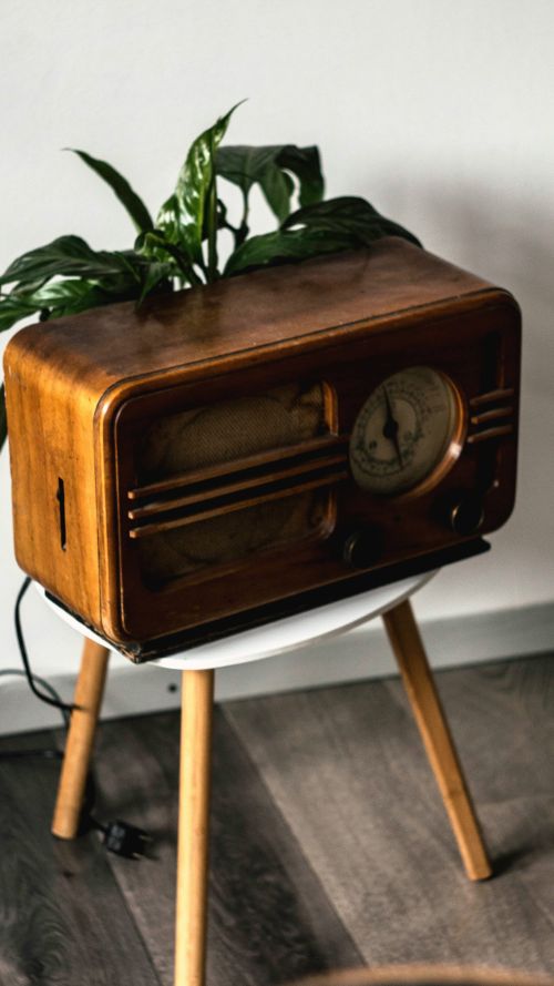 An old radio on a small table with a plant behind it.
