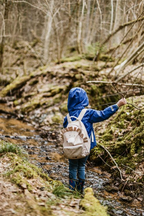 A child with a raincoat and backpack walking through a stream in a forest.