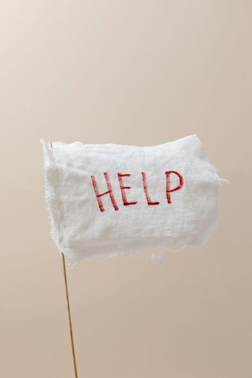 Surviving Off-Days in Home Education: Low-Pressure Learning & Connection