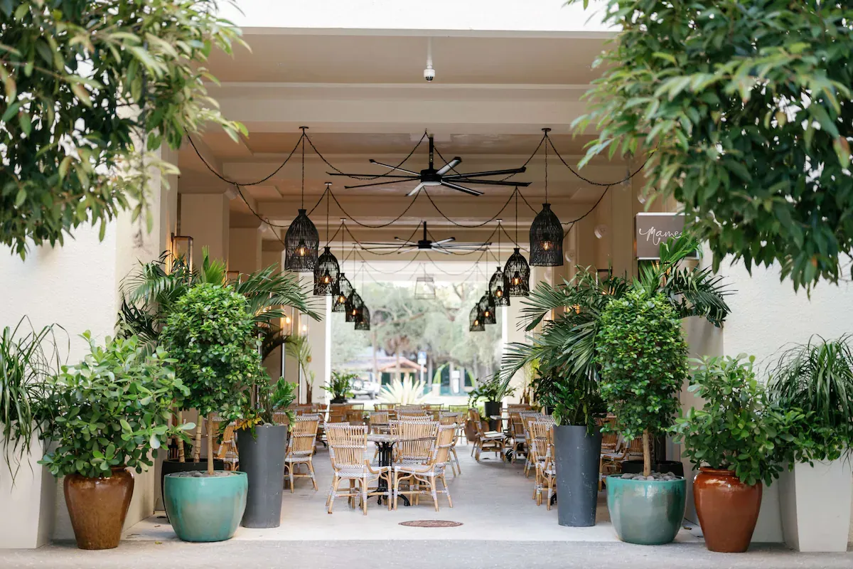 Courtyard restaurant at THesis Hotel Miami, a boutique hotel in Coral Gables, featuring outdoor dining with lush greenery, stylish seating, and a modern open-air atmosphere.