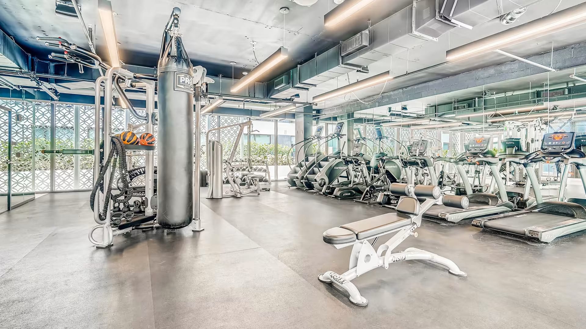 Sentral Wynwood gym — modern cardio and weights for parents and teens