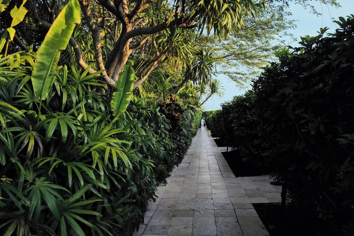 Leafy garden walkway at The Standard Spa, Miami Beach, winding through lush tropical plants and palm shade.