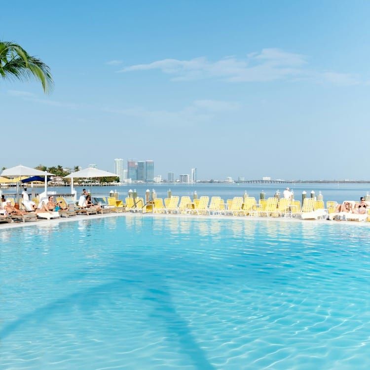 Bayside pool at The Standard Spa, Miami Beach with yellow loungers, palm trees, and views across Biscayne Bay.