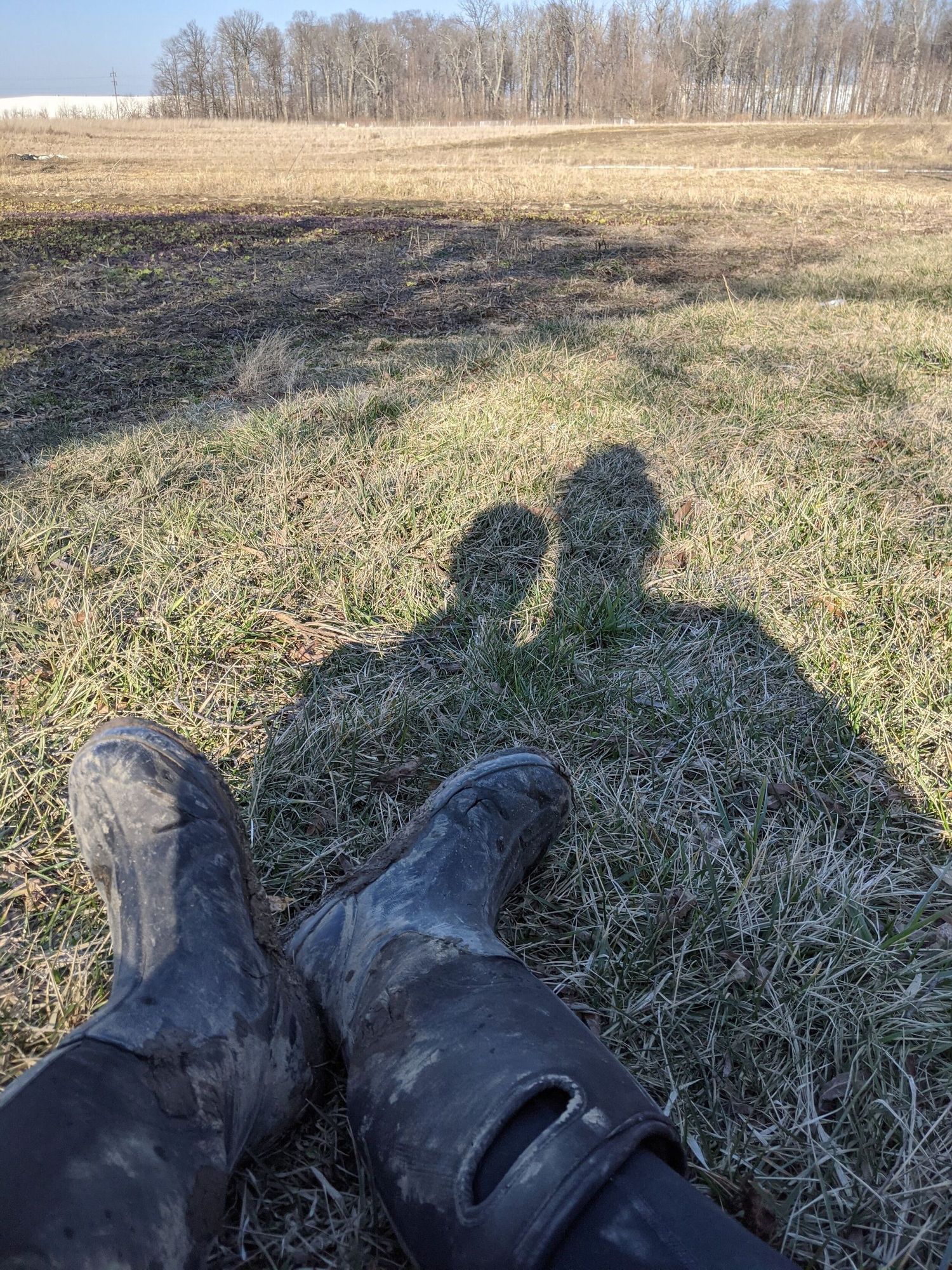 April: Growing Pains