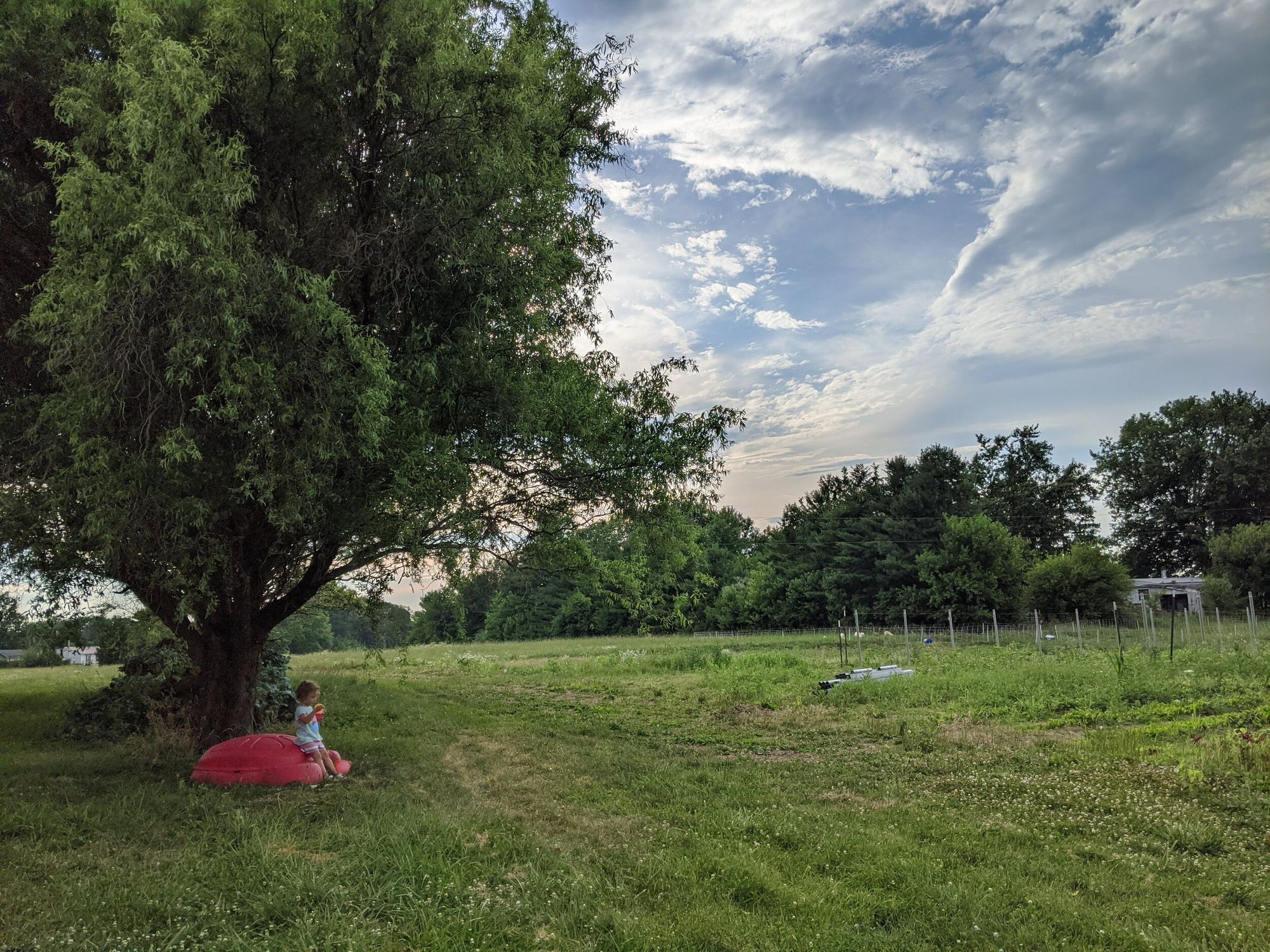 August-The Sounds Of Summer