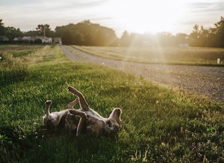 APRIL! We Welcome Your Sunshine and The Colors It Brings