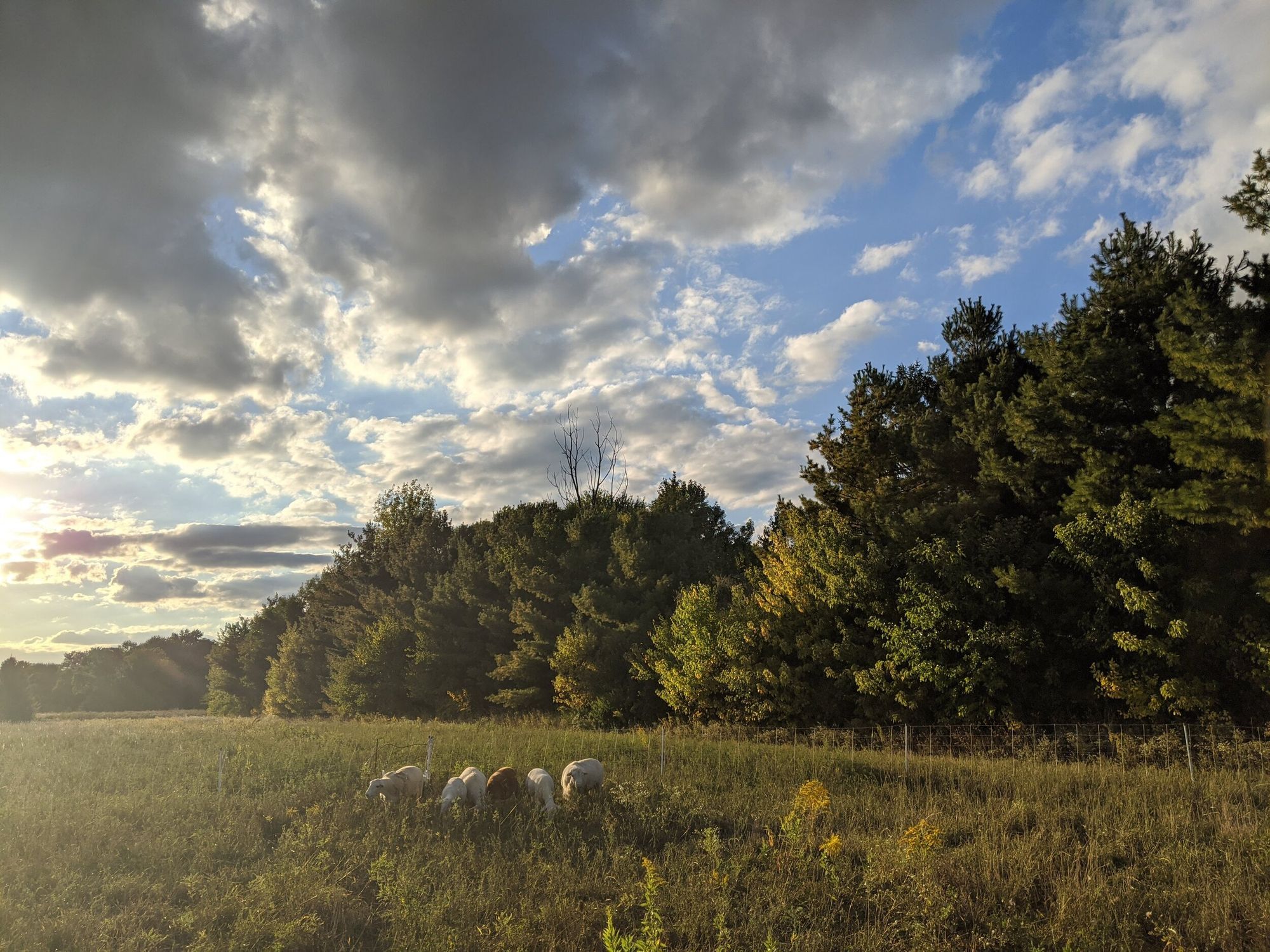 October-It's Time to Look Through the Fall Lens