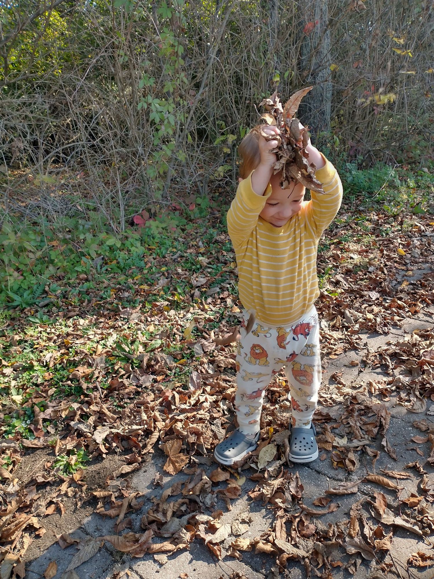 November: Preparing for Torpor