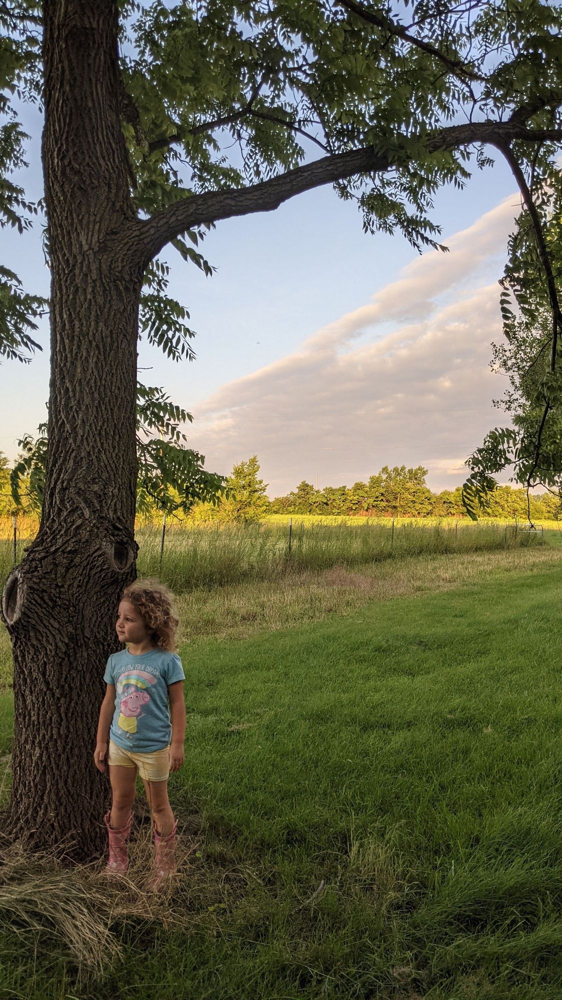 Summer-A State of Mind