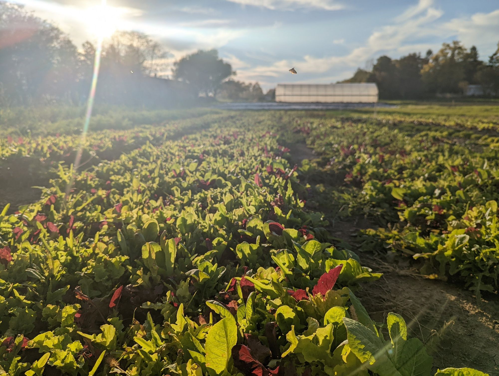 January 2022- Going with Grace