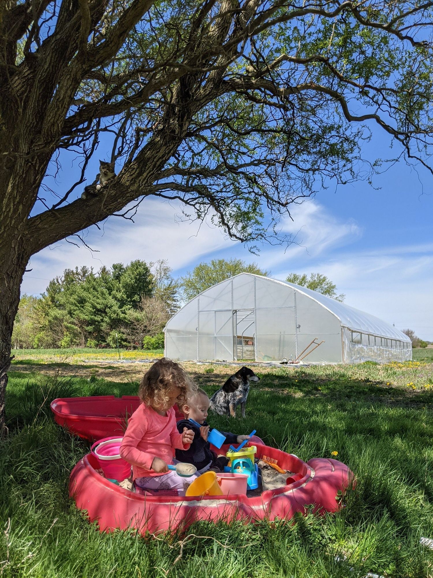 May: The Dream of the Planet