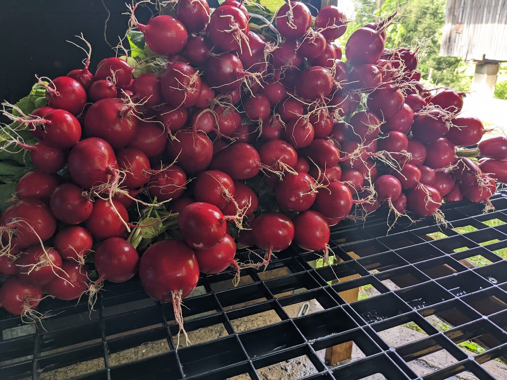 We'll See You in November