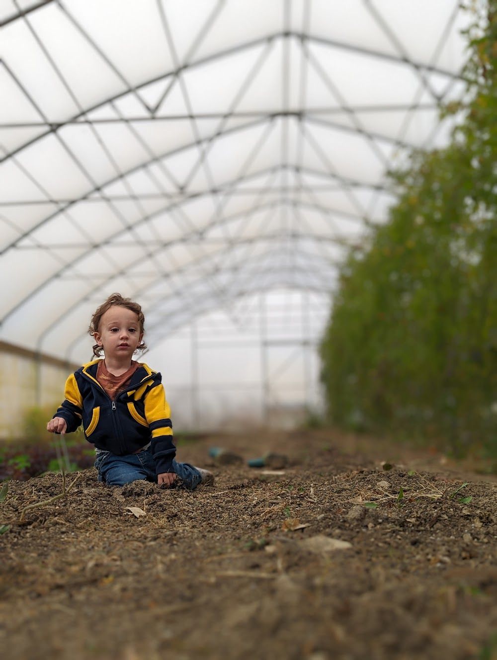 "What Do You do for a Job?"