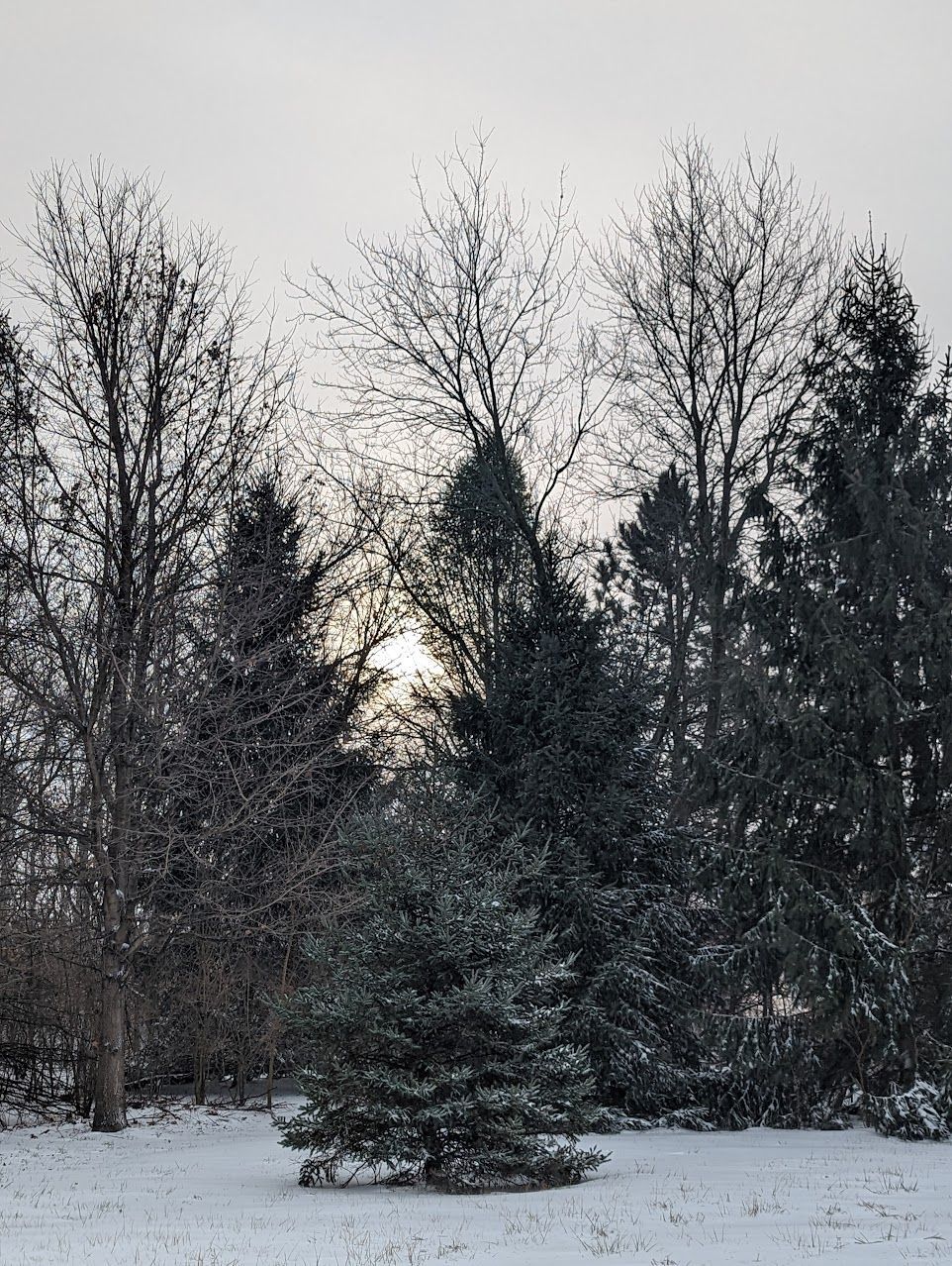 January 2023-Continuity