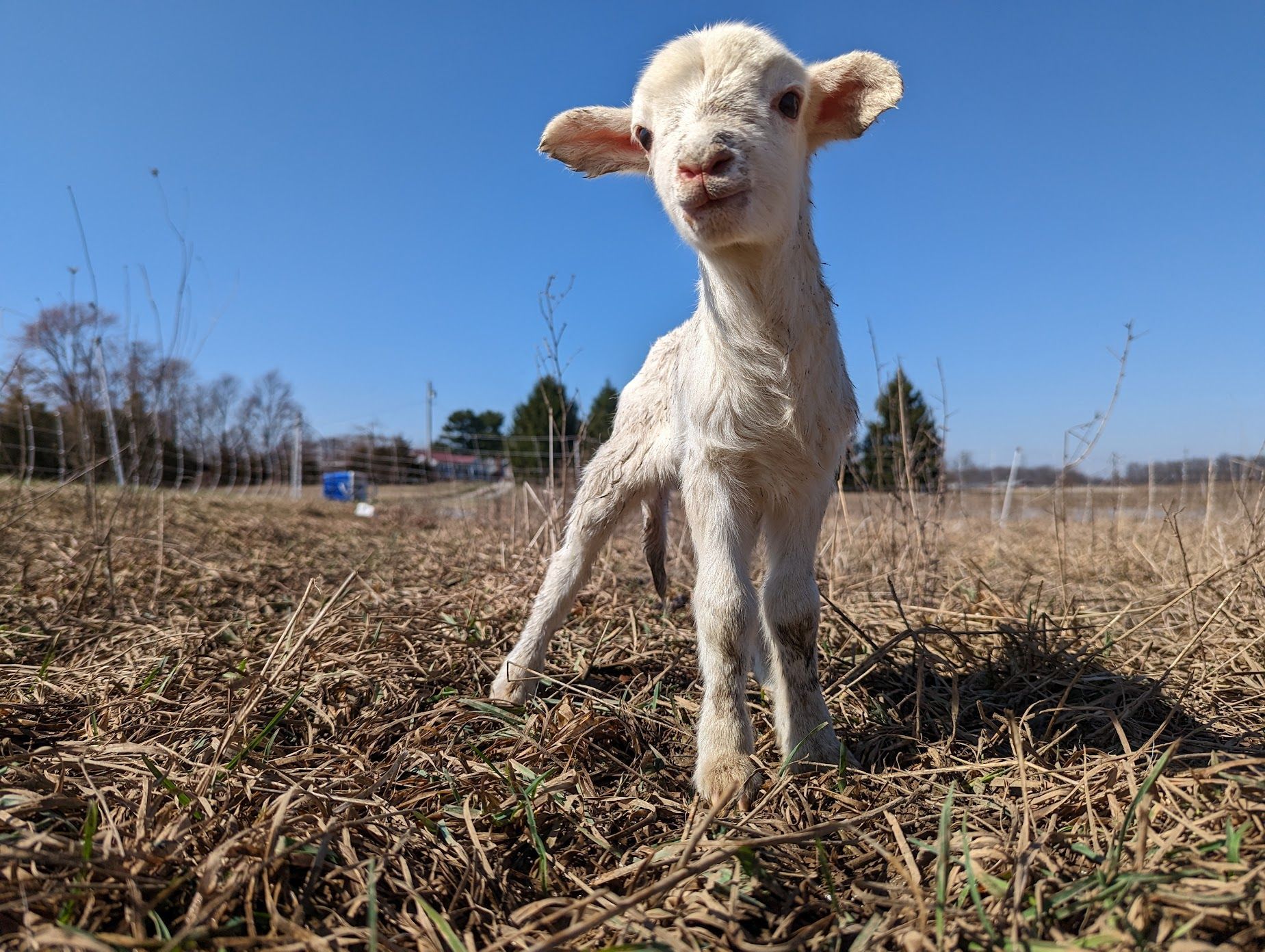 March- The Will to Live