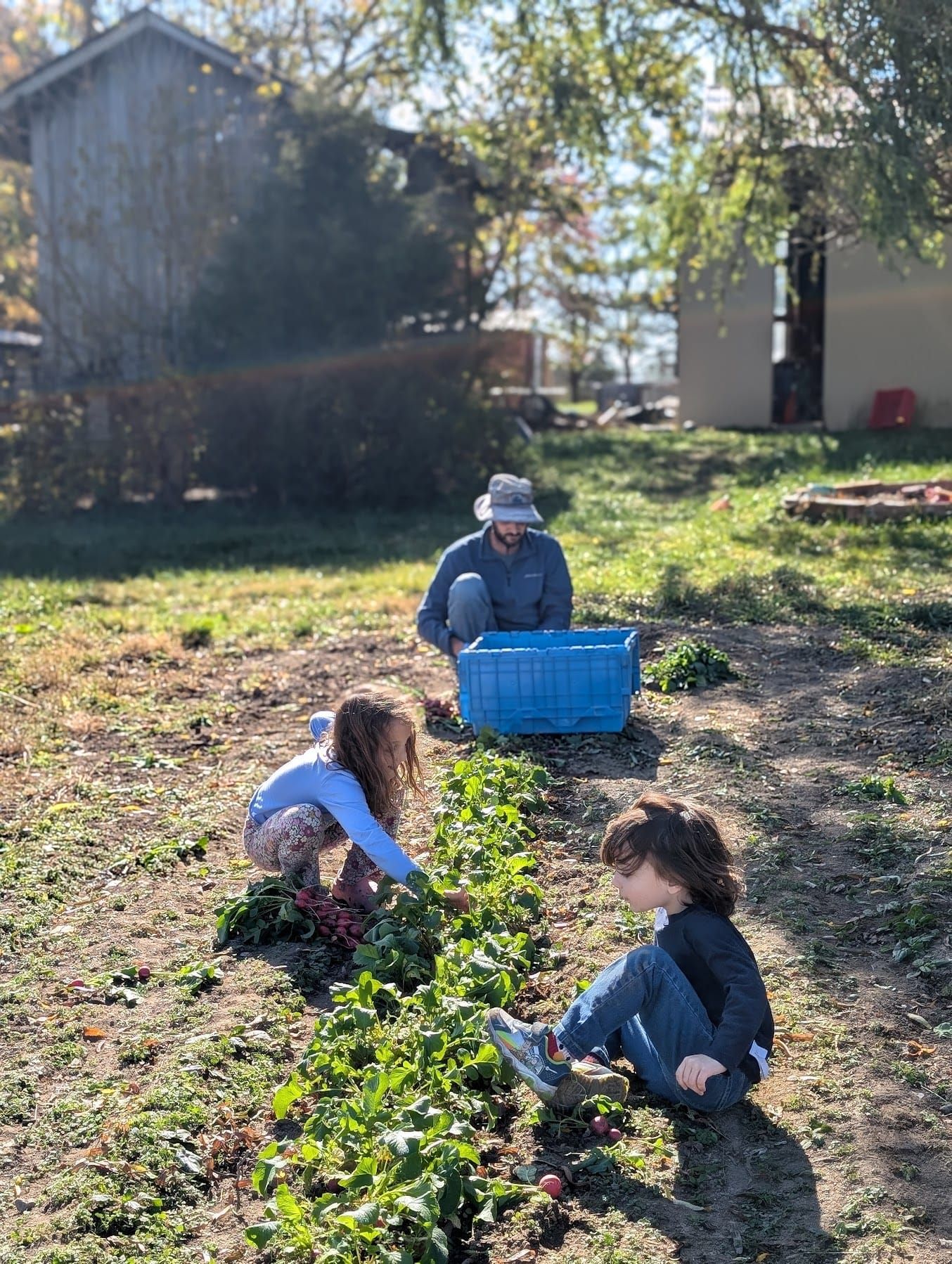 November-Doubling Down