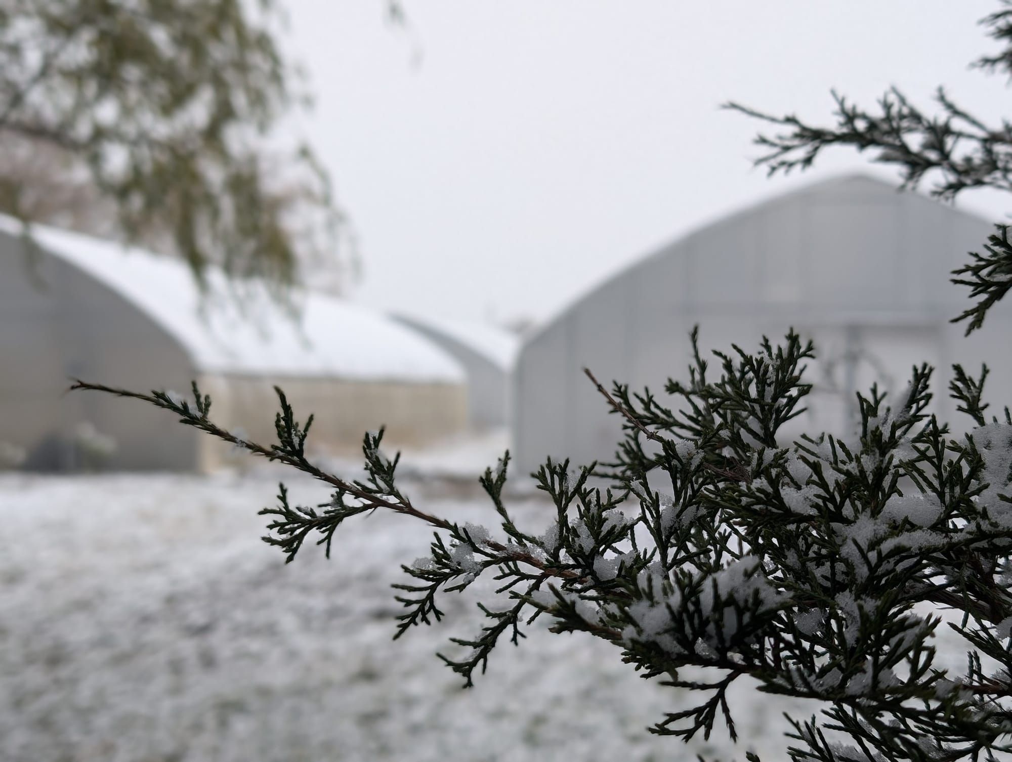 December-We Didn't See It Coming