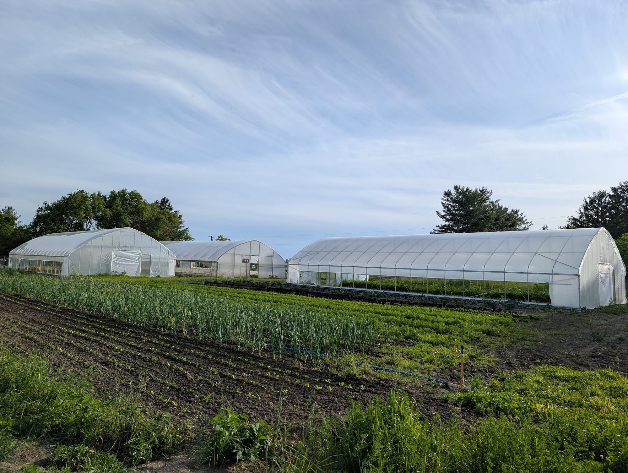 June-Ready/Believe It Or Not