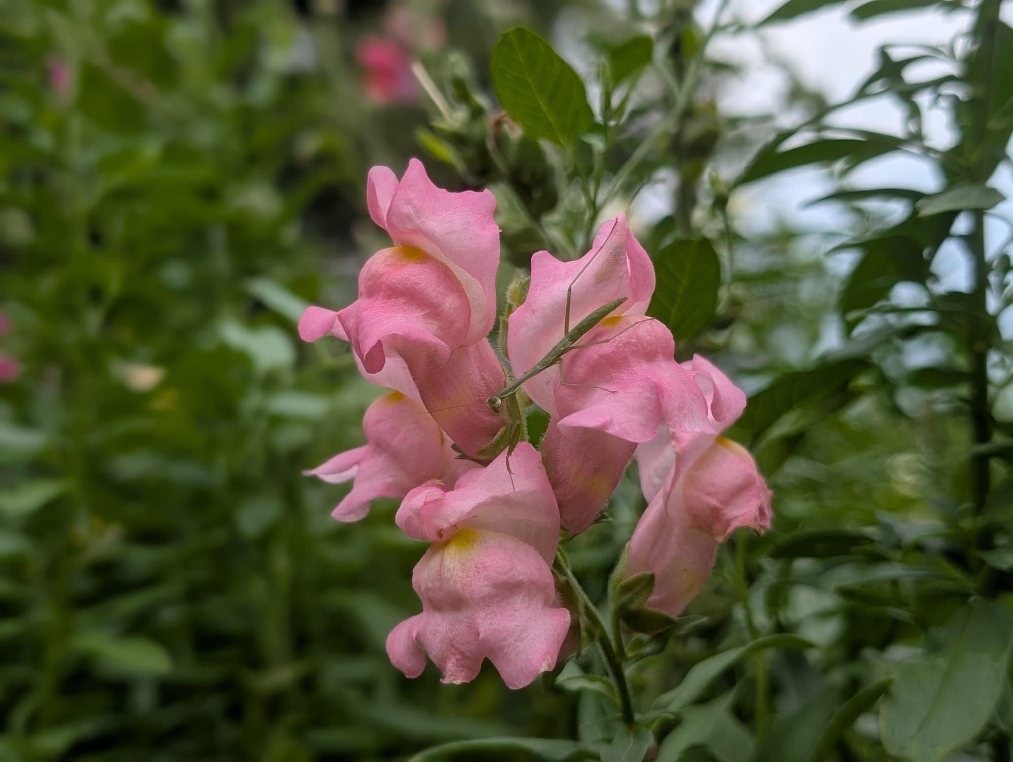 All the"Noise, Noise, Noise"