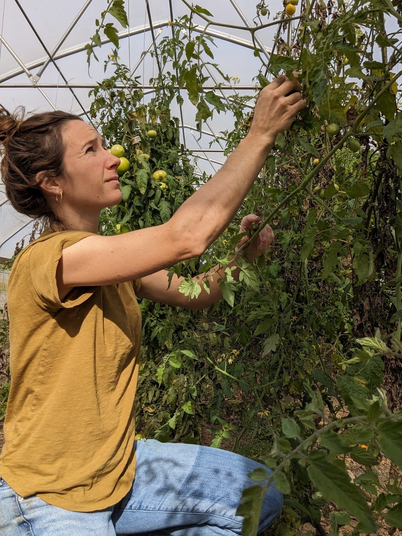Reinforcing Calluses