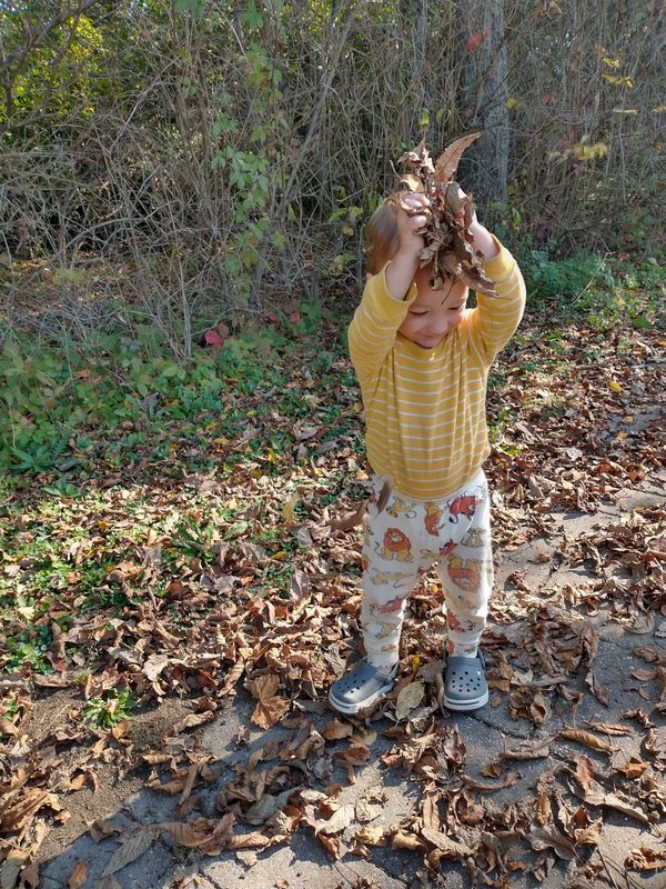 November: Preparing for Torpor