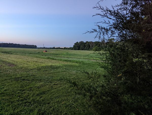 Bats and Small Farms: Endangered Species