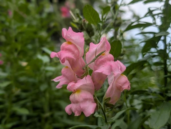 All the"Noise, Noise, Noise"