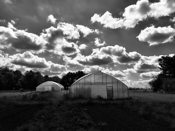 January-An Unimportant Life