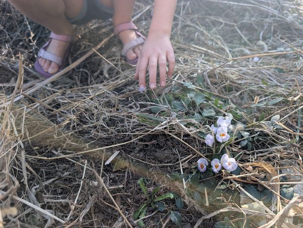 March- With What You've Been Given