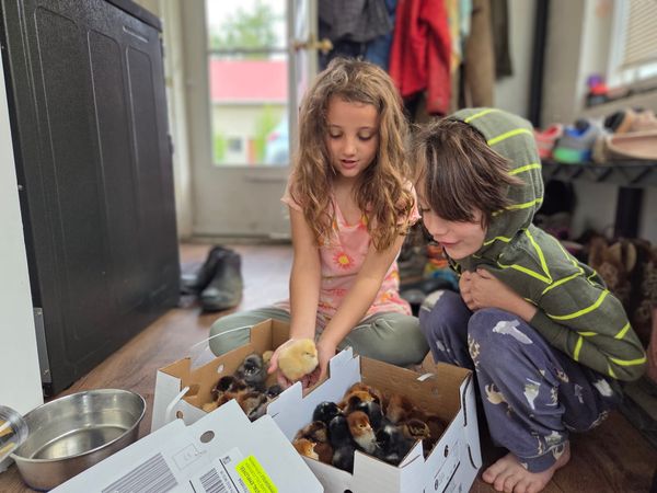 A Letter To My Kids