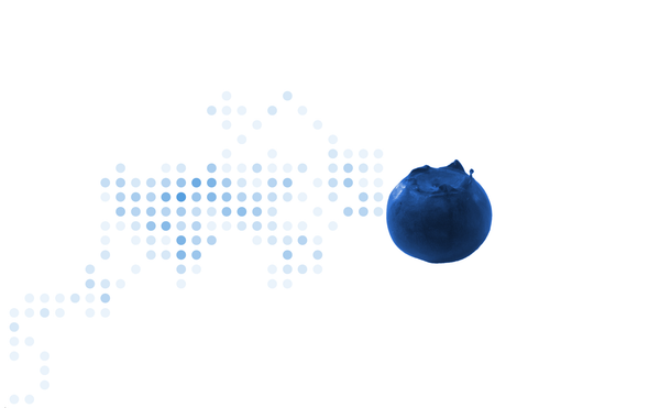 A grid of brownian motion dots of varying intensities of blue with a blueberry at the end of the path