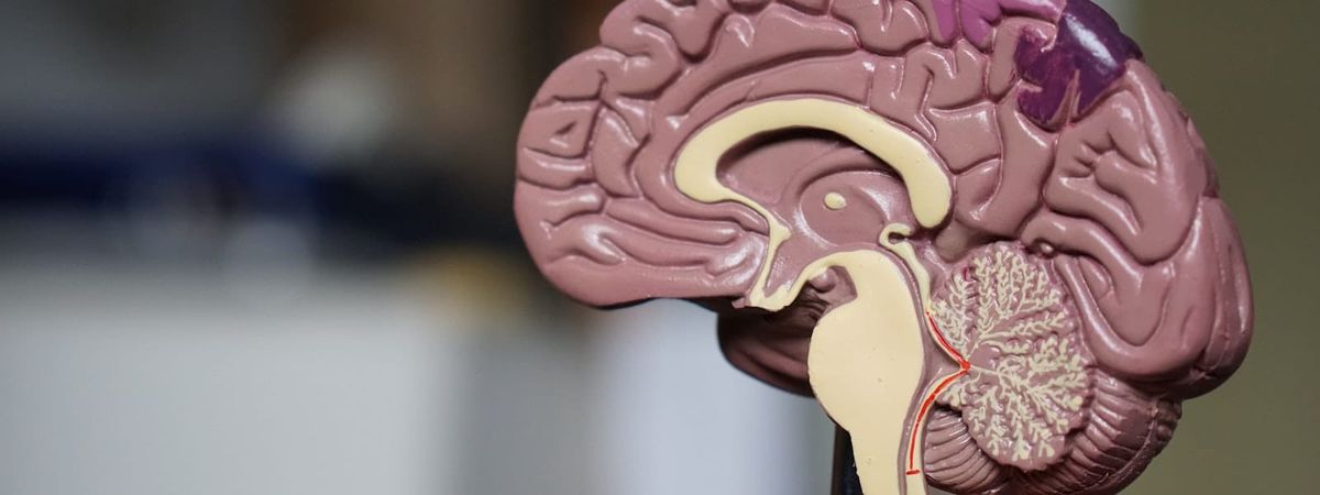 What Are GLP-1 Receptor Agonists and How Do They Work?