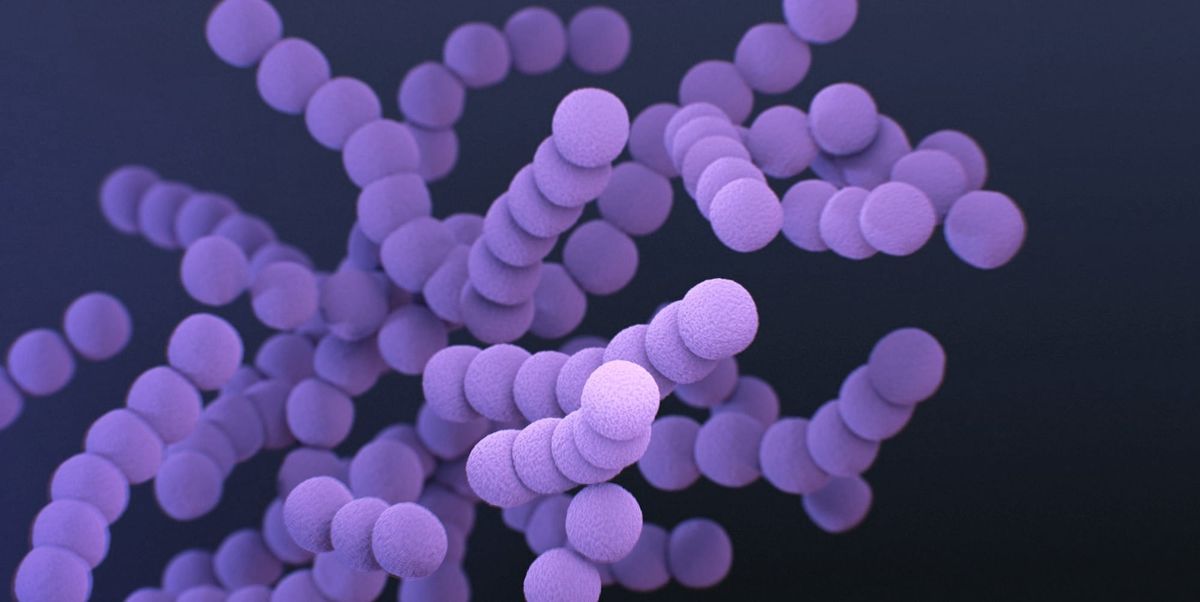 Peptides for Gut Health: BPC-157, KPV, and Larazotide Explained
