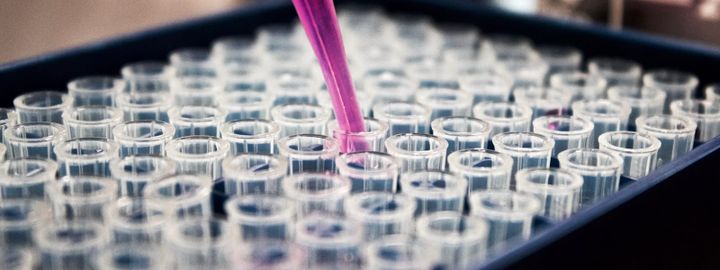 The Difference Between Research Peptides and Pharmaceutical-Grade Peptides