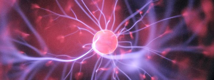 Selank Peptide: Anxiety, Cognition, and What the Research Shows