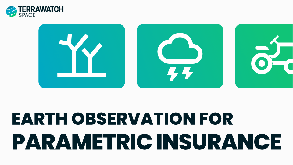 TerraWatch Space Newsletter - Earth Observation for Parametric Insurance