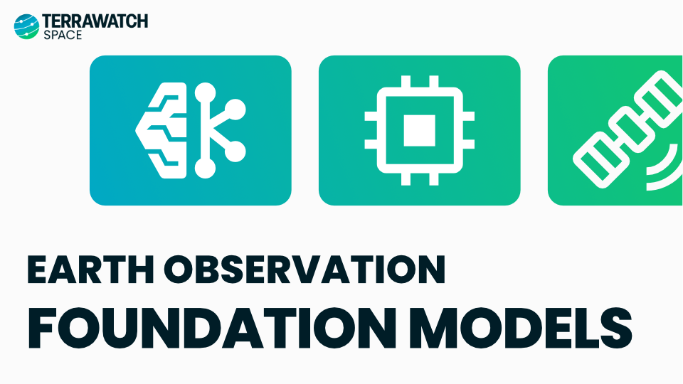 TerraWatch Space Newsletter - Earth Observation Foundation Models: A Deep-Dive