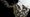 Last Week in Earth Observation: October 7, 2024