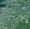 Earth Observation Essentials: May 11, 2026