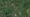 Last Week in Earth Observation: September 19, 2023