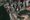 Last Week in Earth Observation: Aug 5, 2024