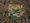 Last Week in Earth Observation: October 16, 2023