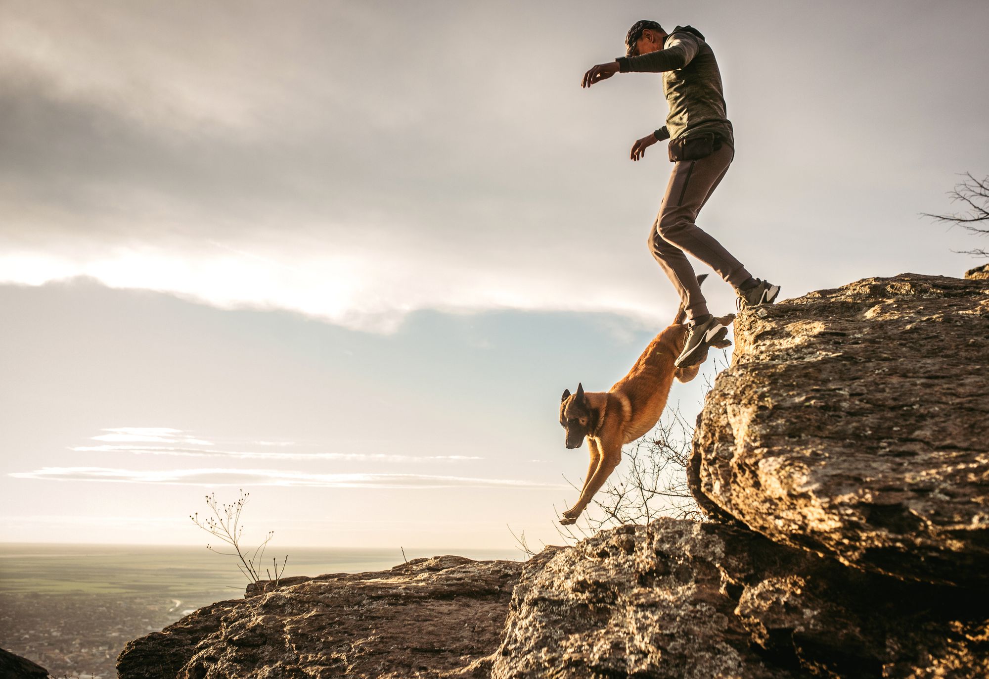 Amazing Facts About Dogs